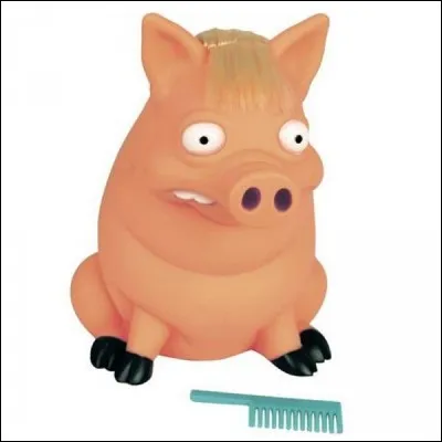 Voici une bien belle tirelire ; que met-on dans une tirelire ?