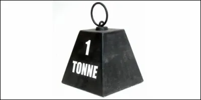 Combien y a-t-il de kilos dans une tonne ?