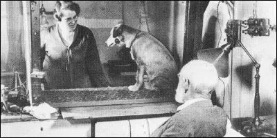 Cet homme a étudié et travaillé sur les réflexes conditionnés. Il se nomme :