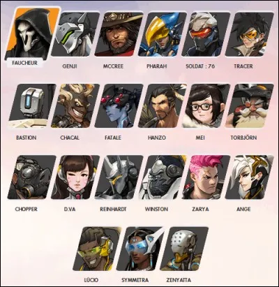 De quelle catégorie est ce dernier ?