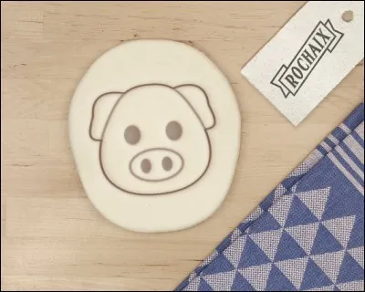 Ceci est un emporte-pièce de cochon. Dans quel domaine l'utilise-t-on ?