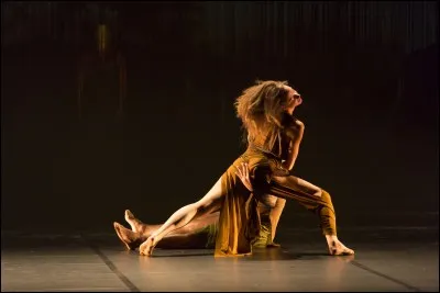 "Le Cantique des Cantiques", ou "Poème" occupe une place singulière dans la littérature biblique célébrant la sexualité. Quel roi d'Israël en est l'auteur ?