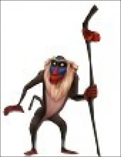 Qui est le babouin sorcier du royaume ?