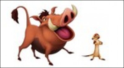 Comment s'appelle le duo le plus ins&eacute;parable et le plus comique du monde ?