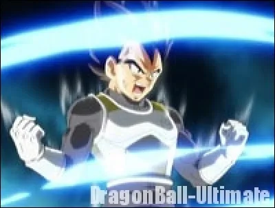 Qu'est le Super Saïyan God ?