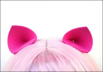 Quelle partie du corps du cochon reconnaissez-vous ?