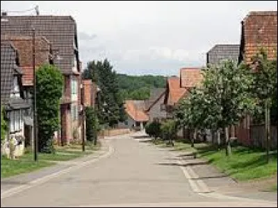 Nous traversons le village Bas-Rhinois de Geiswiller. Nous sommes dans l'ancienne région ...