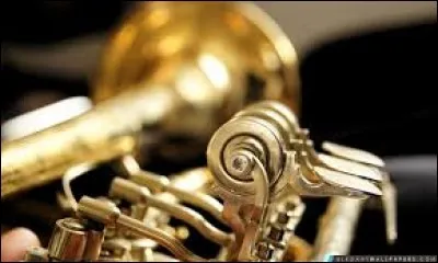 Quel est cet instrument de musique ?