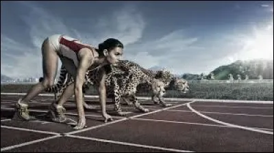 Le 6 avril, journée internationale du sport. Que feras-tu pour l'occasion ?