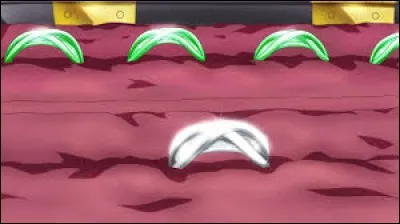 Lesquels peuvent utiliser les anneaux du temps ?