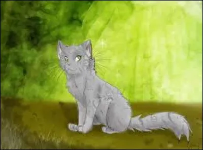 Quels ont été les deux mentors de Nuage de Bruyère ?