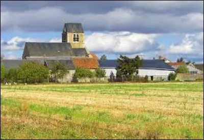 Commune de la région agricole de la Beauce riche, Manchecourt se situe en région ...
