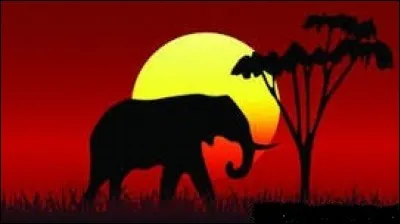 L'une de ces espèces de pachydermes vit exclusivement sur le continent africain, laquelle est-ce ?