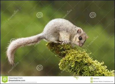 Quel mot trouves-tu dans cette image ?