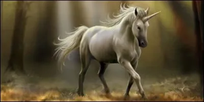 Où trouve-t-on des licornes ?