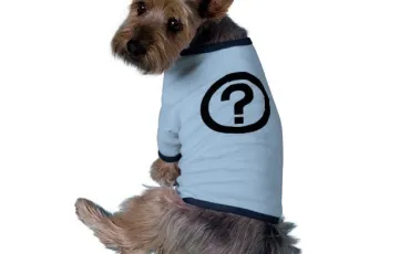 Quiz Animaux