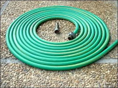 CAN qui s'insinue mais pas par l'esprit...