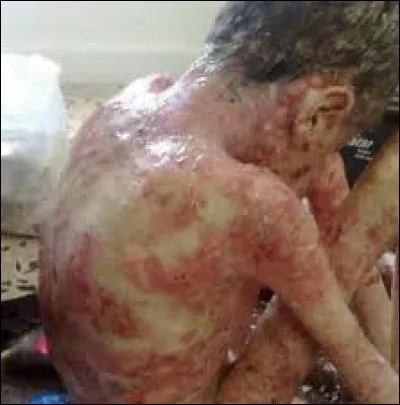 En 2016, où ont-été fabriqué les bombes au phosphore utilisées en Syrie ?