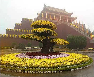 Dans quel pays asiatique le mois de septembre est dénommé mois du chrysanthème ?