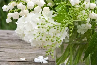 Quel pays a choisi le muguet comme fleur nationale en 1982 ?