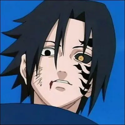 Qui remplace Sasuke dans "Shippuden" ?