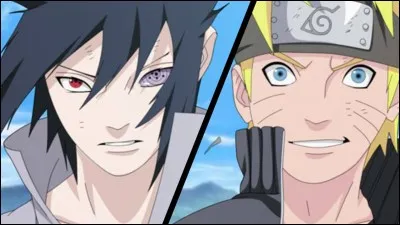 Que perdent Naruto et Sasuke durant leur dernier combat ?