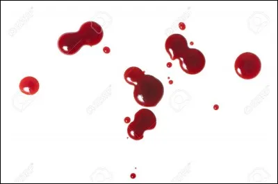 Comment s'appelait le mentor de Tamara ?