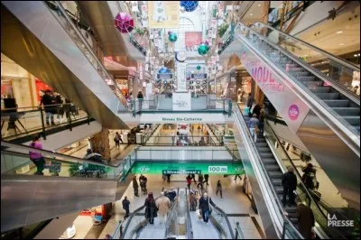 Où Rose et ses amis ont été enlevés à la fin du roman ?