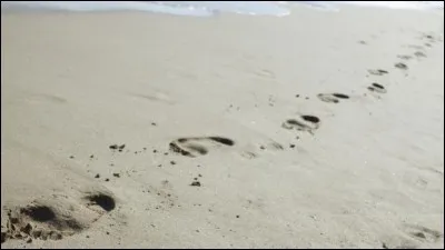 Selon l'expression, combien de pas fait-on lorsqu'on va et vient de long en large pour tromper son attente ?