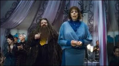 Le père de Hagrid est :