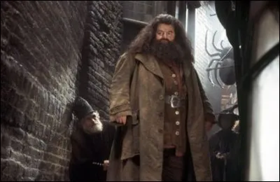Dans "Harry Potter et la Chambre des secrets", que fait Hagrid dans l'allée des Embrumes ?