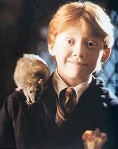 Comment s'appelle le rat de Ron ?