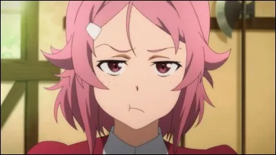 Quel est son pseudo dans SAO ?