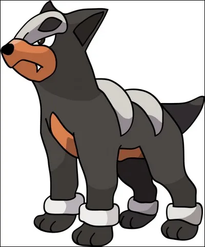 Comment s'appelle l'évolution de Malosse ?