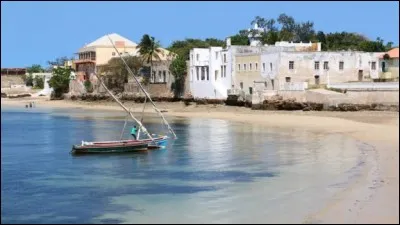 Sur quelle côte d'Afrique le Mozambique se trouve-t-il ?