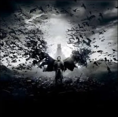 De quel côté les chauves-souris sortent-elles de leur caverne ?