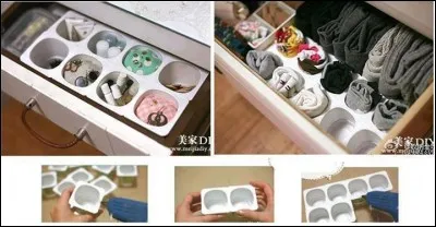 Animal marin vivant fixé aux rochers !