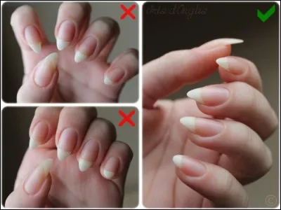 Fourrure bouclée de jeune agneau karacul !