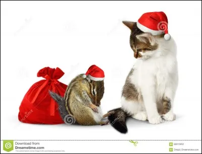 Choisis un type de film.