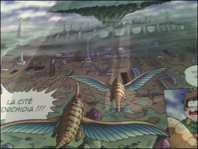 Qui est la personne régnant sur le royaume d'Orchidia ?