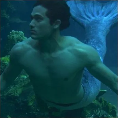 Beau gosse des mers, fils de la Q1 et Q2. Qui est-il ?