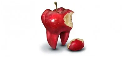 La chute des dents temporaires est favorisée par la destruction progressive des racines. Ce phénomène est le phénomène de "rhyzalise".