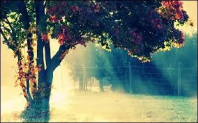 Tu préfères la/les couleur/s :