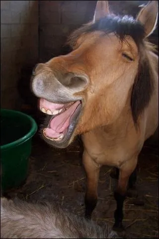 Je ___ et lui, me _______, frustr.