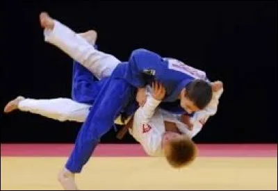 Le sport le plus populaire au Japon est :