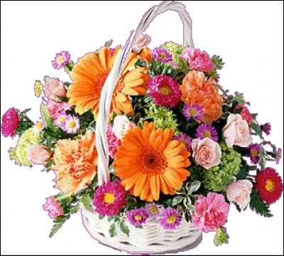 Avec quoi Laurent Voulzy veut-il changer les curs ?