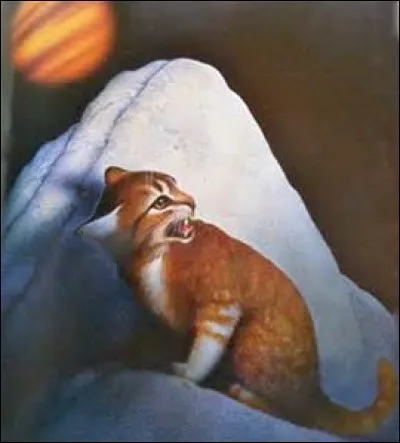 Comment se casse-t-il la mâchoire alors qu'il n'est qu'un chaton ?