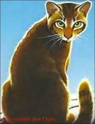 Quel est son nom de guerrier ?