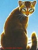 Quiz Erin hunter