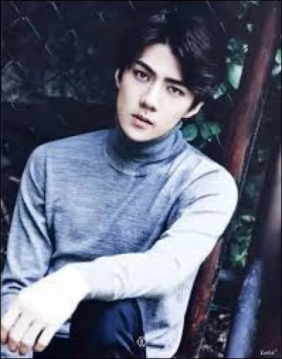 Qui est le maknae d'EXO ?